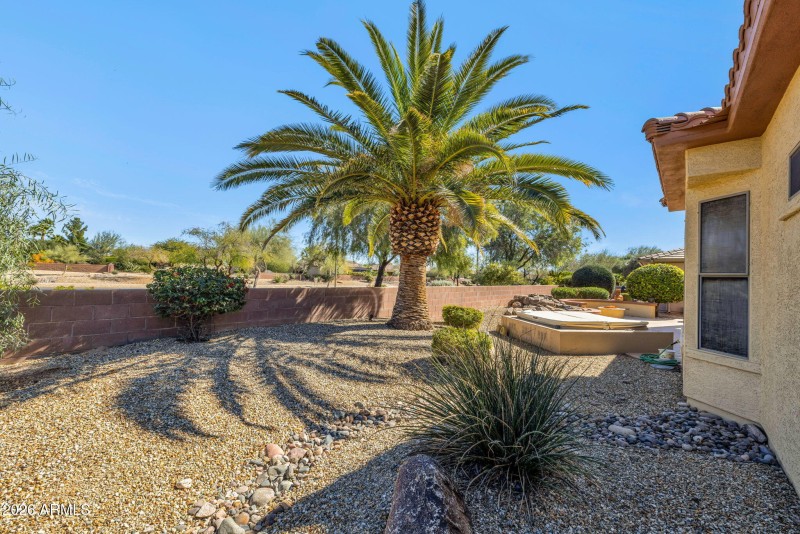 Spacious Rear Yard