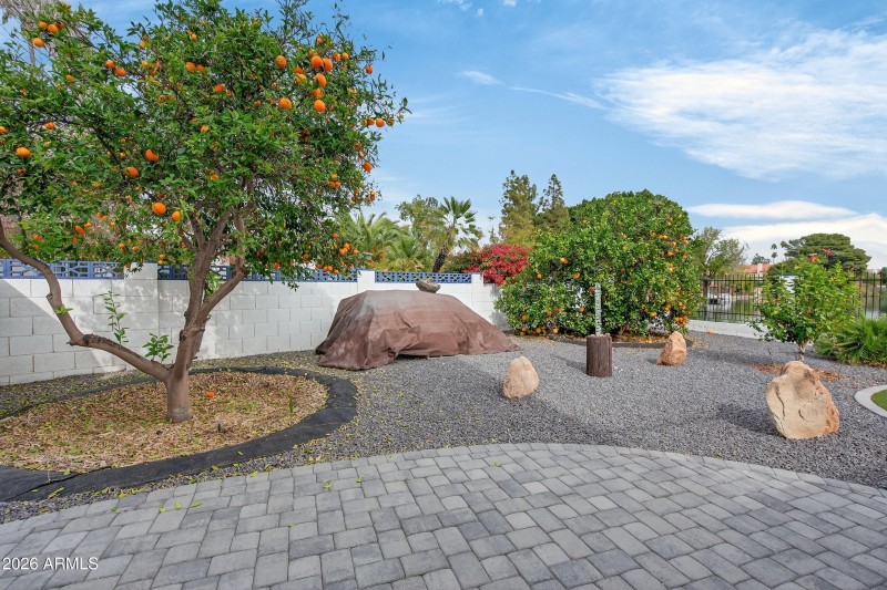 Mature Fruit Trees
