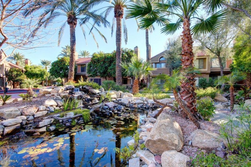 koi ponds