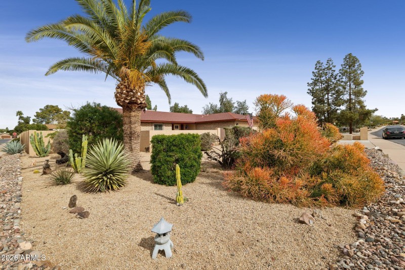 Front Yard View
