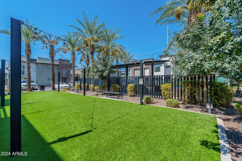 Pet Area
