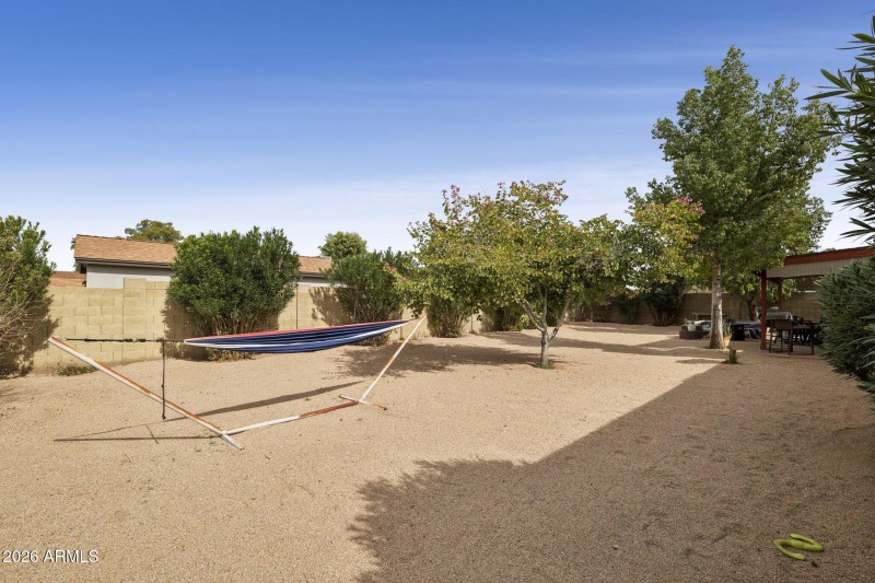 Backyard Views