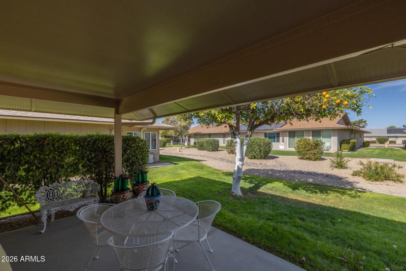 29)BACKYARD