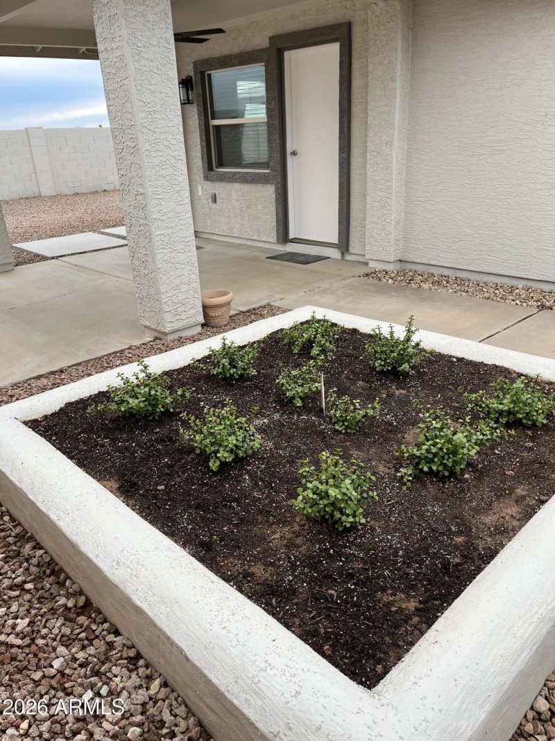 Side Patio