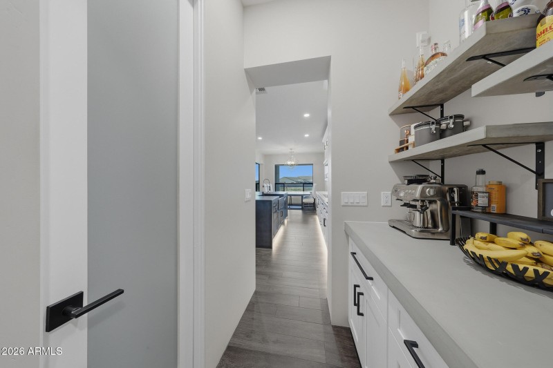Butler area/ walk in pantry