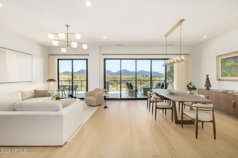 Living/dining/view