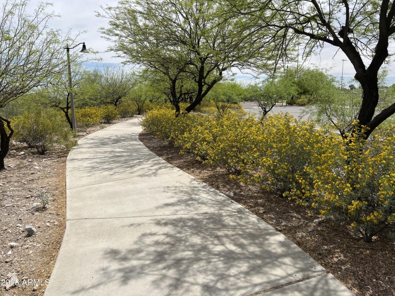 Walking Trail