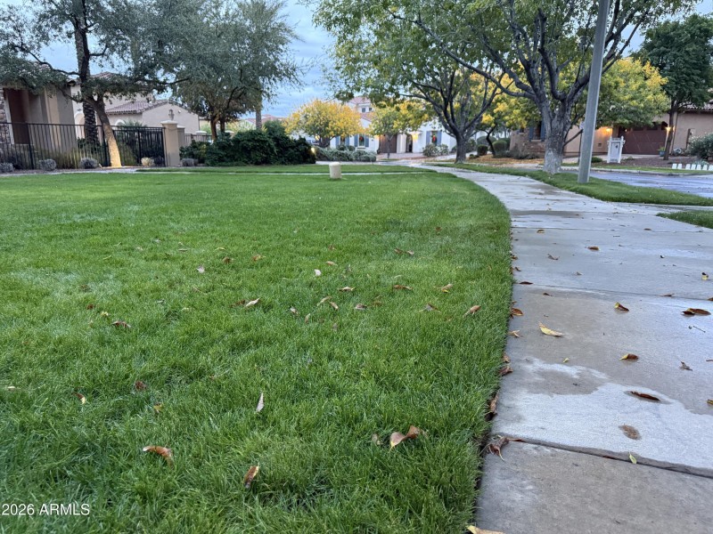 Green Grass