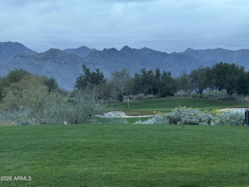 Beautiful view