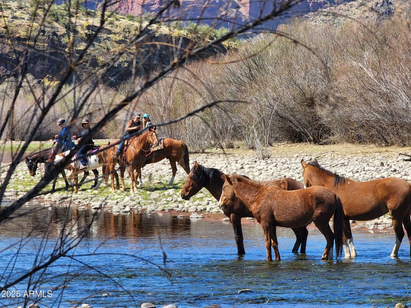 Horseback Riding