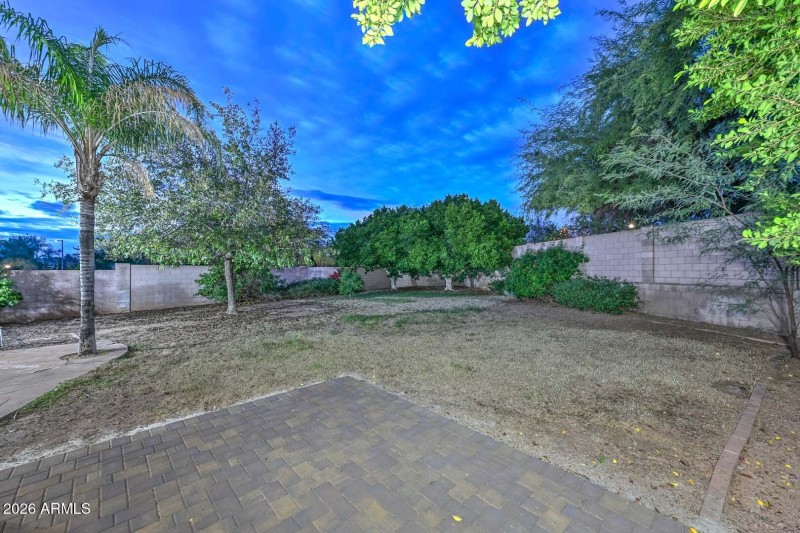 Night-Backyard2