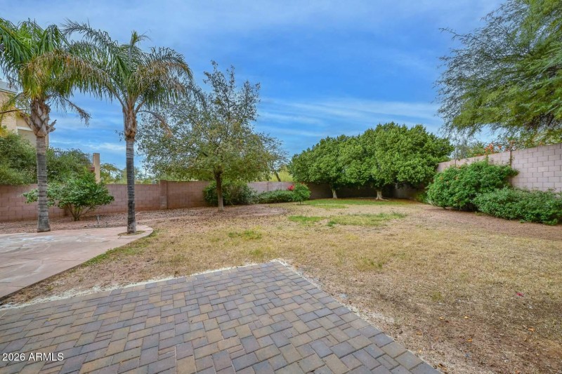 Backyard