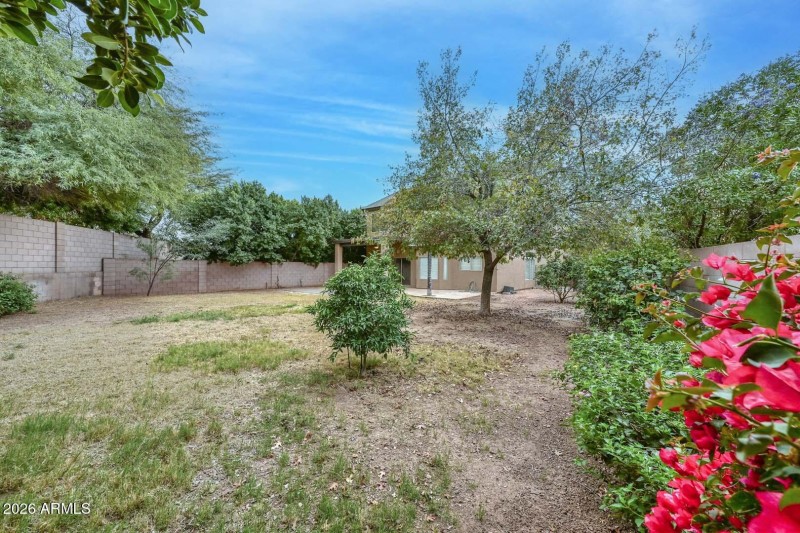 Backyard Corner View