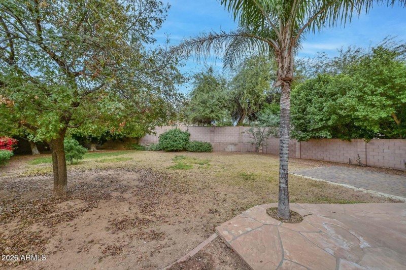 Backyard2