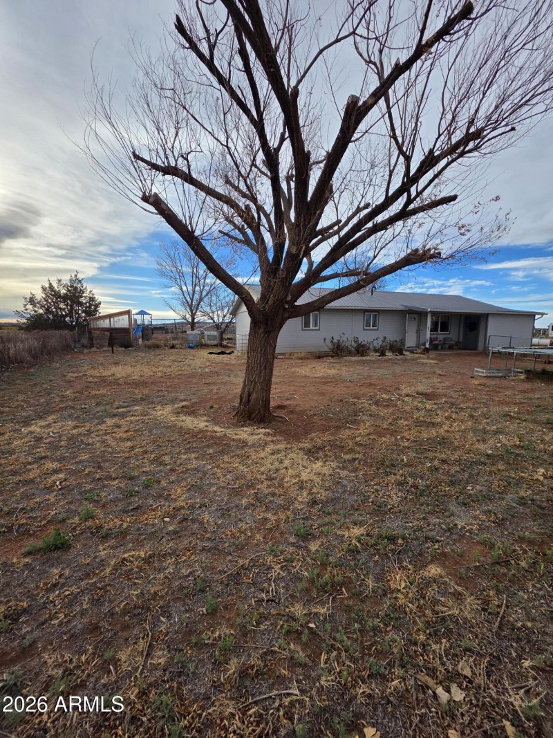 Front Yard
