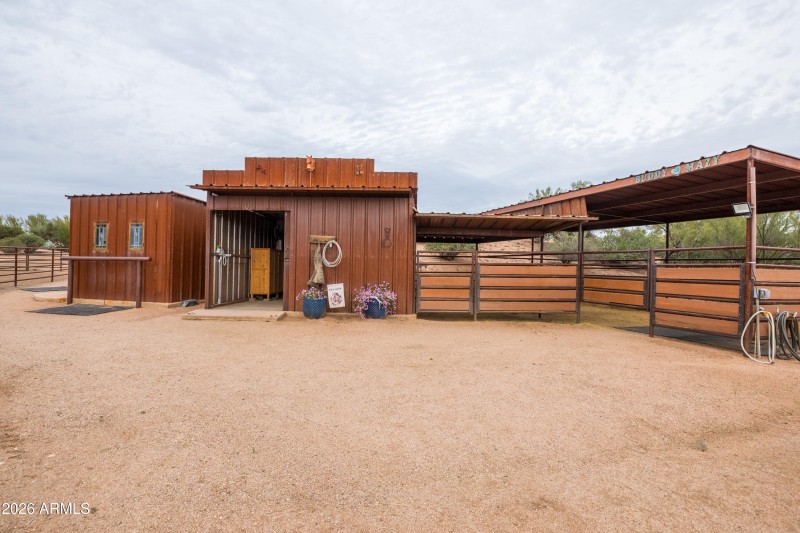 Horse Set Up