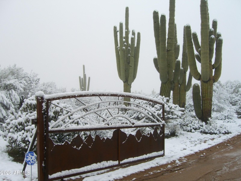 Rare Desert Snow