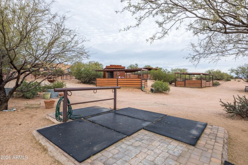 Horse Set Up