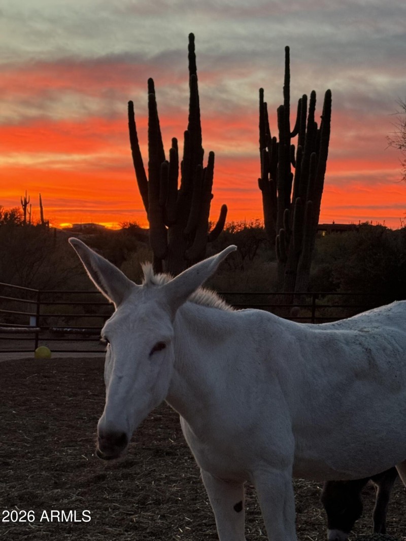 Stunning Sunsets