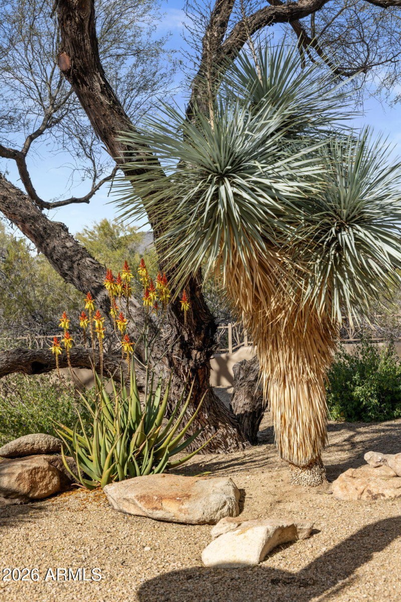 2 Acre Grounds