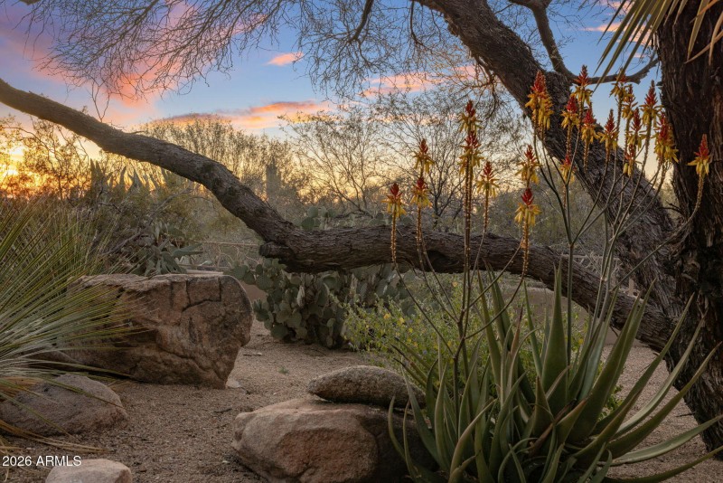 2 Acre Grounds