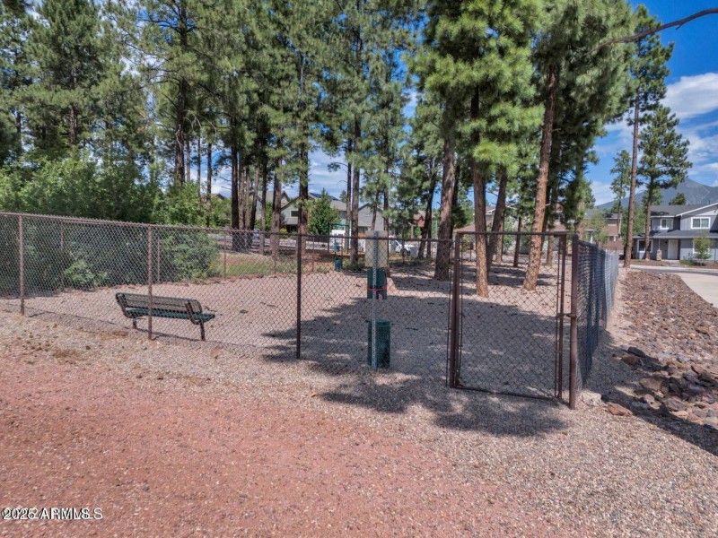 Community Dog Park