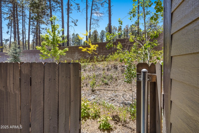 Surrounded By The Pines