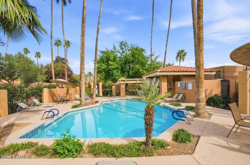 1 of 4 Pools at the Pointe