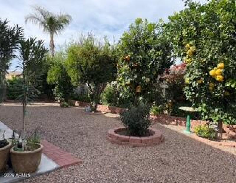 008 Backyard