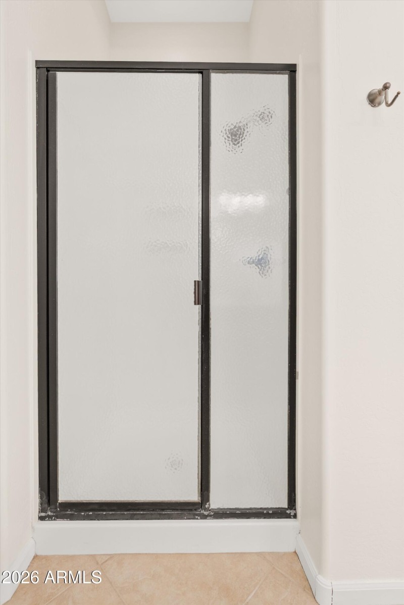 Primary Shower