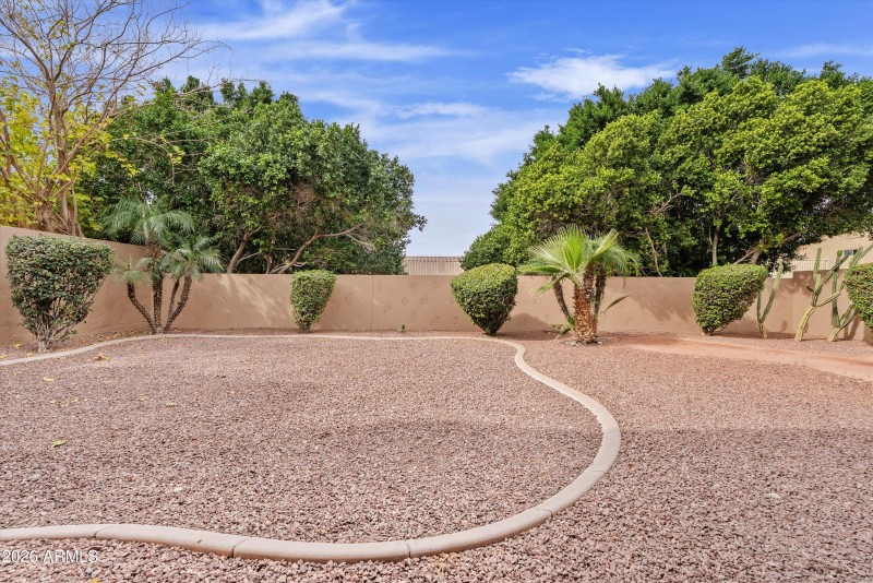 Backyard