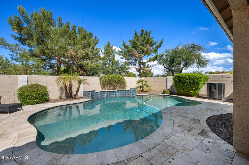 Amazing Backyard