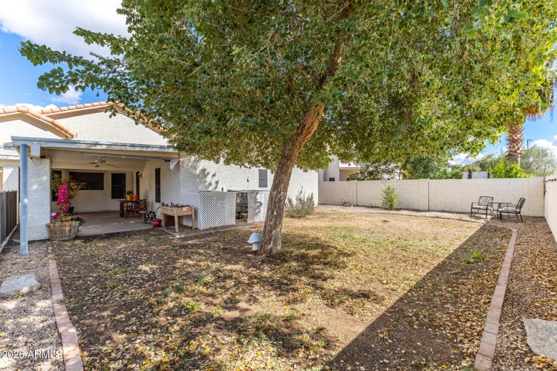 Spacious private yard