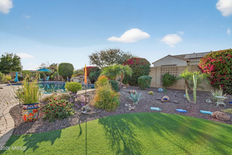 Desert landscaping