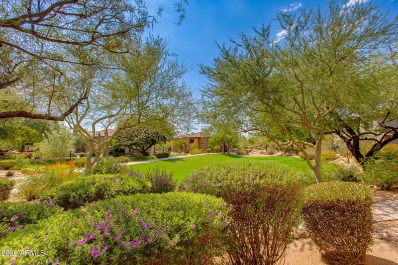 Greenbelt outside unit patio