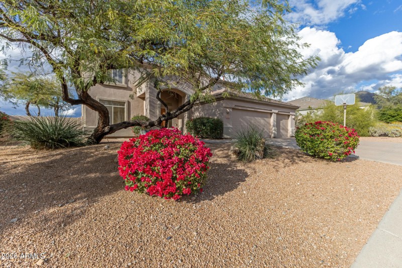 Great Curb Appeal