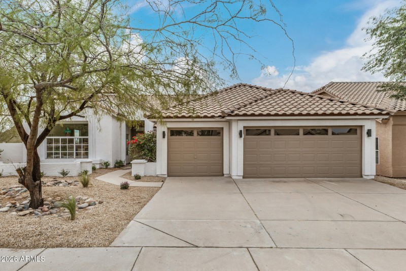 02 - Sahuaro