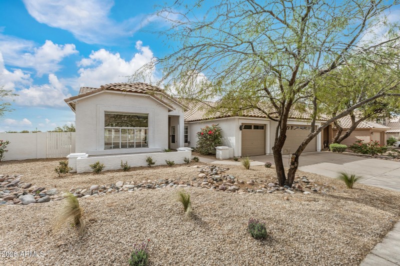 03 - Sahuaro