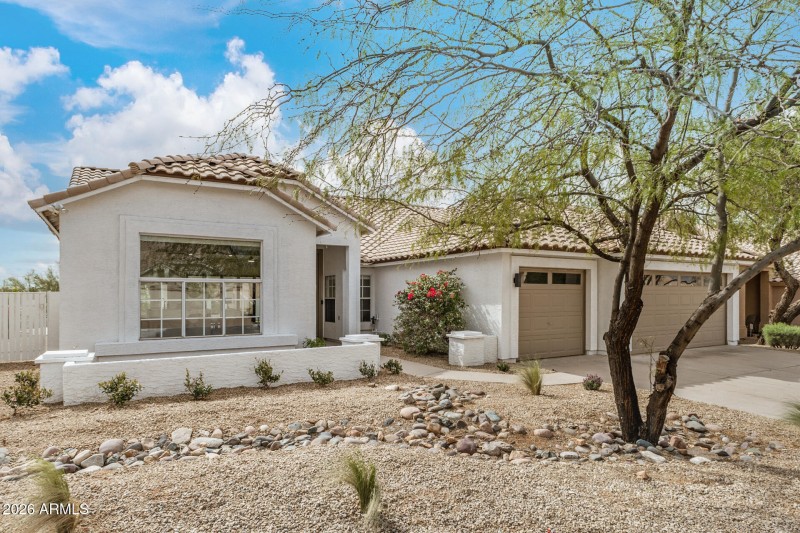 04 - Sahuaro