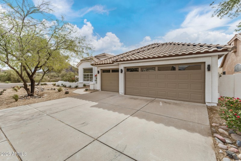 05 - Sahuaro