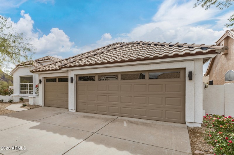 06 - Sahuaro