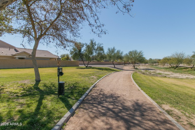 A) WALKING PATHS
