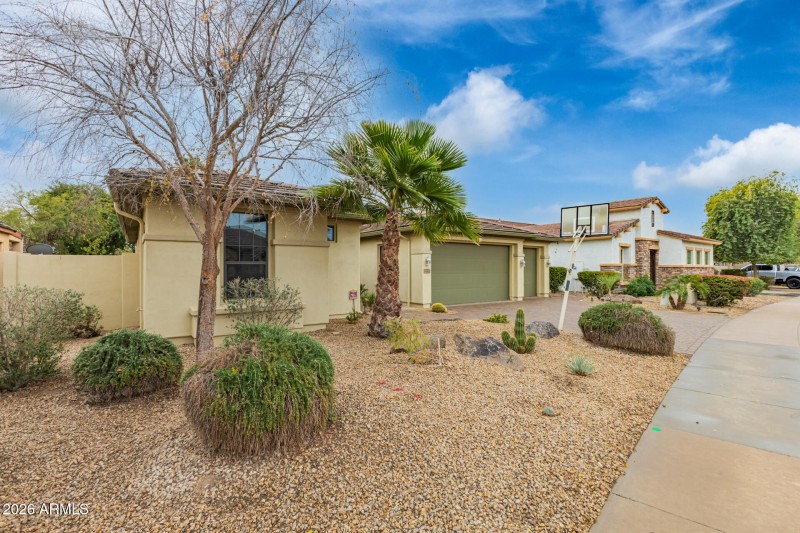 Side Exterior & Landscaping