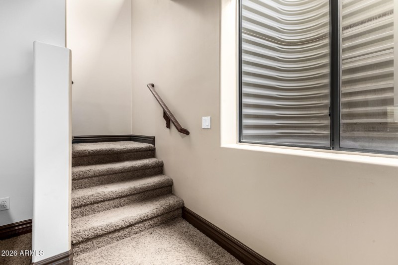 Carpeted Staircase with Natural Light