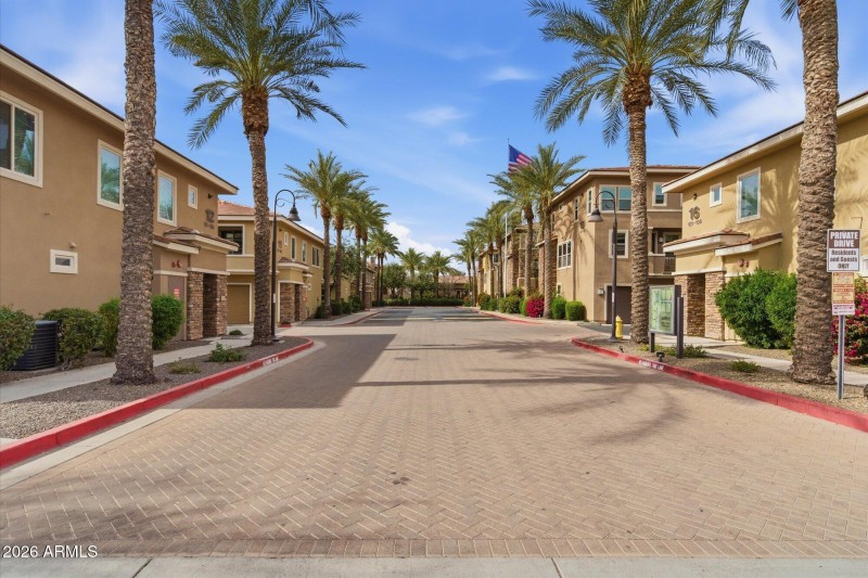 Beautiful Palm lined streets