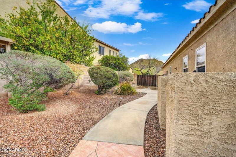 Side Yard