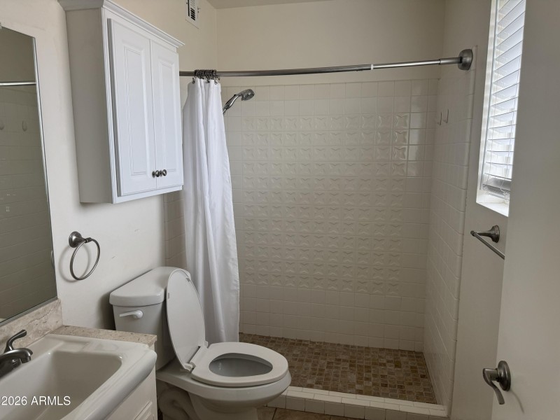 Master Bath Shower