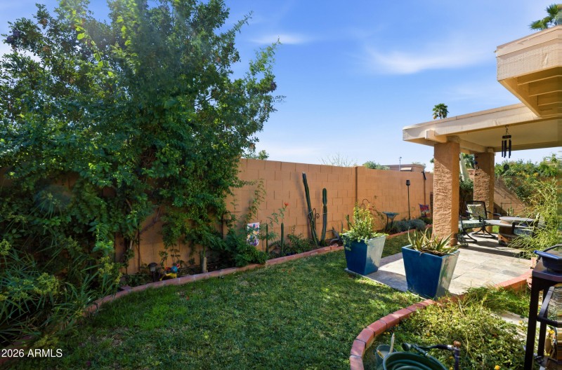Back Yard