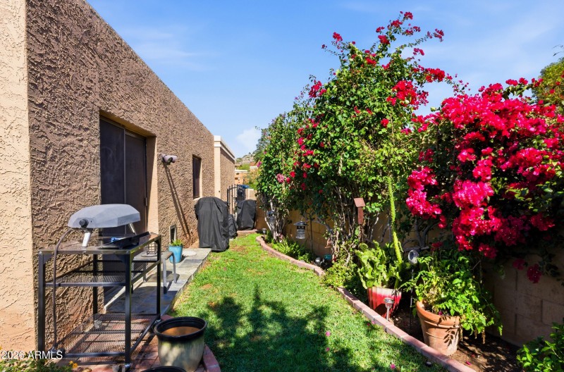 Side Yard