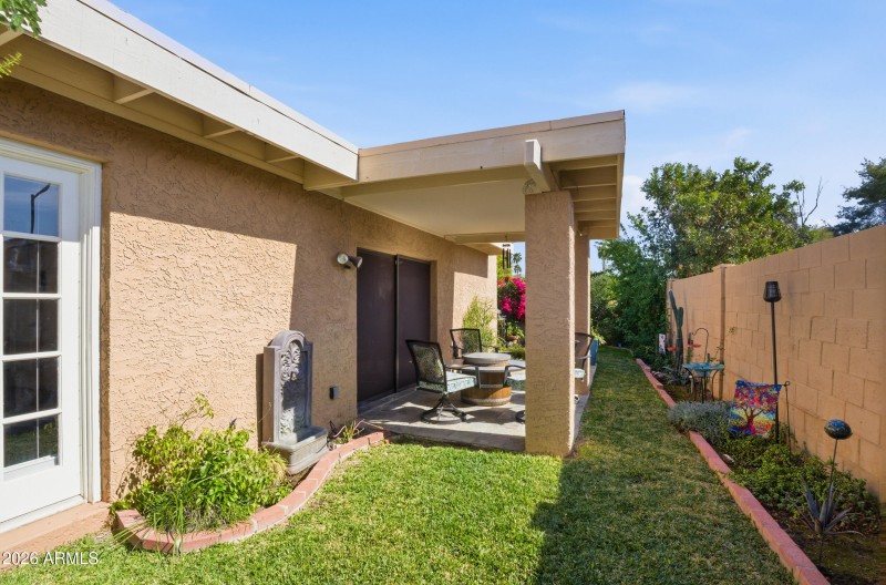 Back Yard